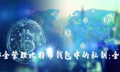 如何安全管理比特币钱包中的私钥：全面指南