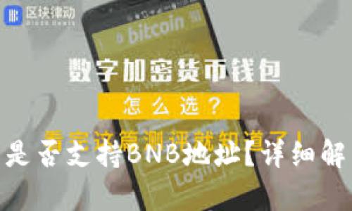imToken钱包是否支持BNB地址？详细解析与使用指南