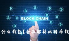 比特币提币用什么钱包？全面解析比特币钱包类